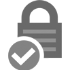 Security and Privacy Icon